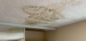 Essential Steps for a Successful Roof Leak Insurance Claim